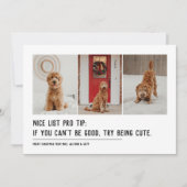 素敵なリストおもしろいペット3つの写真ブラッククリスマス シーズンカード (正面)