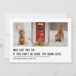 素敵なリストおもしろいペット3つの写真ブラッククリスマス シーズンカード