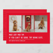 素敵なリストおもしろいペット3枚の写真クリスマス シーズンカード (正面/裏面)