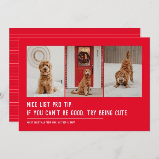 素敵なリストおもしろいペット3枚の写真クリスマス シーズンカード (正面/裏面)