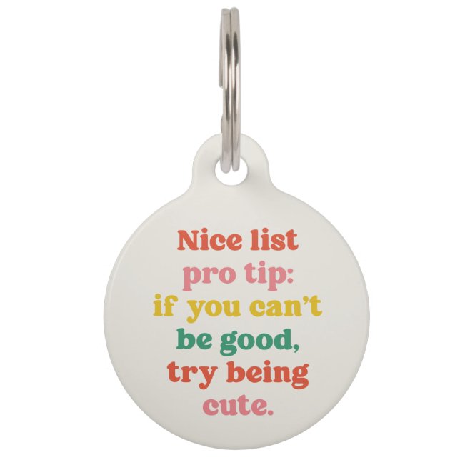 素敵なリストかわいいおもしろいカラフルクリスマス ペット　ネームタグ (正面)