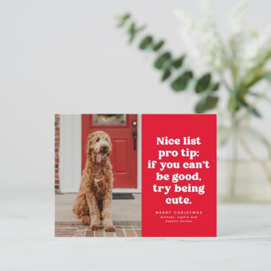 素敵なリストのプロ先端おもしろい赤いクリスマスペットの写真 シーズンポストカード (スタンド正面)