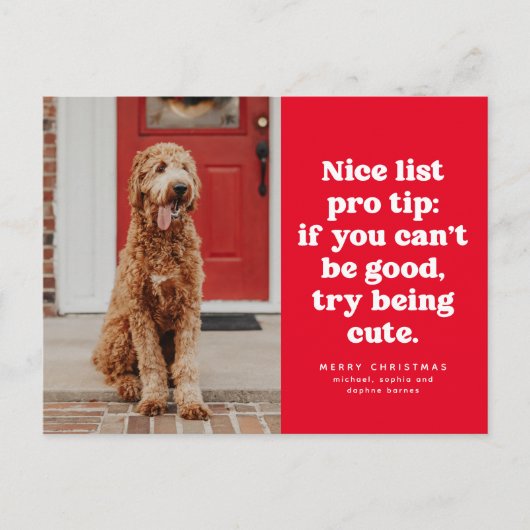 素敵なリストのプロ先端おもしろい赤いクリスマスペットの写真 シーズンポストカード (正面)