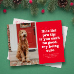 素敵なリストのプロ先端おもしろい赤いクリスマスペットの写真 シーズンポストカード<br><div class="desc">素敵なリストのプロのもしヒント – あなたは可愛い試みることができない。このフェスティバルとおもしろいクリスマスフォトハガキは、あなたがリストの犬や猫やいけなもしかしたら子供のためにも可愛いのに最適だ。スマイルを送信する赤と白このワンフォトホリデーのポストカードの種類とカスタマイズ可能なあいさつよくはしゃぐを特徴とする。背面には差出人住所があり、まカスタムたメッセージを表示す離れる場合空白の。このデザインは、Lea Delaverisデザインの素敵なリストコレクションの他の色やスタイルで利用可能である。このオリジナル文字はLea Delaverisのプロパティであり、許可なく使用できない。</div>