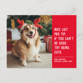 素敵なリスト可愛いおもしろい赤い犬のクリスマスフォト シーズンポストカード