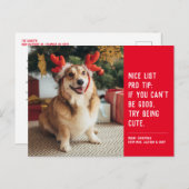 素敵なリスト可愛いおもしろい赤い犬のクリスマスフォト シーズンポストカード (正面/裏面)