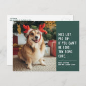 素敵なリスト緑の可愛いおもしろいペットのクリスマスフォト シーズンポストカード (正面/裏面)