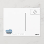 素敵なヴェネツィアビーチはがき！ ポストカード (裏面)