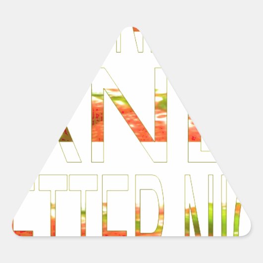 素敵な一日とより良いナイトアートプリント 三角形シール (正面)