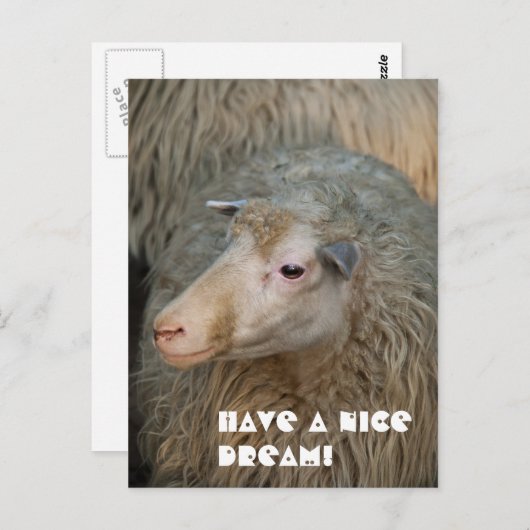 素敵な夢のポストカードを持っている ポストカード (正面/裏面)