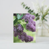 素敵な春はがき ポストカード (スタンド正面)