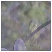 素敵な春... ファブリック (見本)