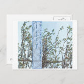 素敵な木 ポストカード (正面/裏面)