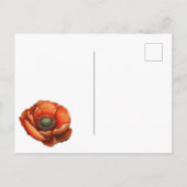 素敵な水彩の赤いポピー ヴィンテージスタイル 案内ポストカード (裏面)