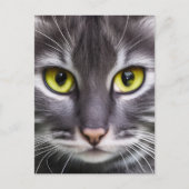 素敵な猫の肖像画 ポストカード (正面)