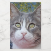 素敵な猫食品容器ラベル フードラベル (シングルラベル)