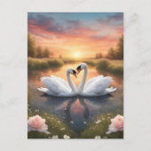 素敵な白鳥 ポストカード (正面)
