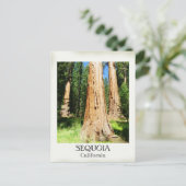 素敵な続編はがき！ ポストカード (スタンド正面)