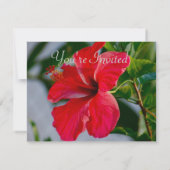 素敵な花の ブライダルシャワーブランunch 招待状 (裏面)