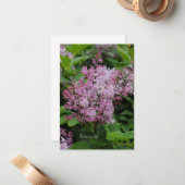 素敵な薄紫 ノートカード (正面/裏面インサイチュ)