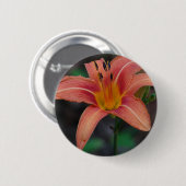 素敵な黄褐色のデイリリーのアパレルとギフト 缶バッジ (正面&裏面)