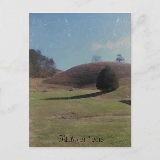 素敵な21* 2016年ポストカード ポストカード (正面)