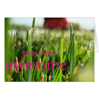 素晴らしいです