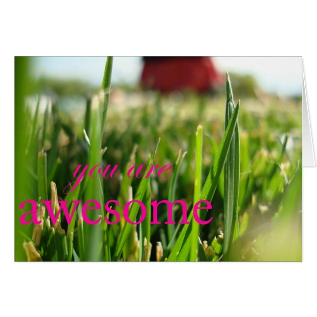 素晴らしいです (正面横)