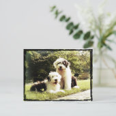 素晴らしいアウトドア! ポストカード (スタンド正面)