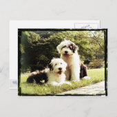 素晴らしいアウトドア! ポストカード (正面/裏面)