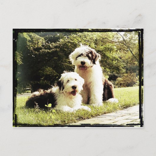 素晴らしいアウトドア! ポストカード (正面)