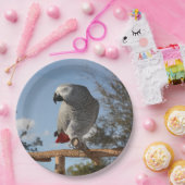 素晴らしいアフリカ灰色のオウム ペーパープレート (パーティー)