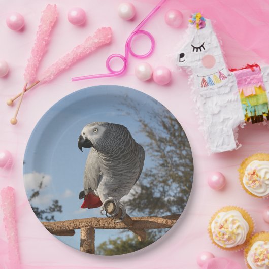 素晴らしいアフリカ灰色のオウム ペーパープレート (パーティー)