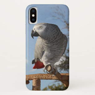 素晴らしいアフリカ灰色のオウム iPhone X ケース