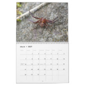 素晴らしいアラクニードスパイダーカレンダー カレンダー (3月 2027)