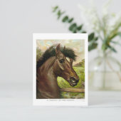 素晴らしいアンティークの馬のリソ絵画ーの ポストカード (スタンド正面)