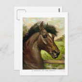 素晴らしいアンティークの馬のリソ絵画ーの ポストカード (正面/裏面)