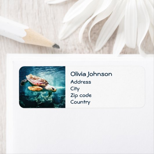 素晴らしいウミガメ海ライフターコイズシー ラベル (インサイチュ)