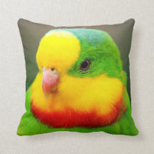 素晴らしいオウム