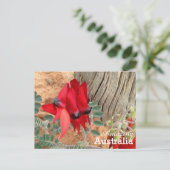素晴らしいオーストラリアのポストカード ポストカード (スタンド正面)