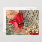 素晴らしいオーストラリアのポストカード ポストカード (正面/裏面)