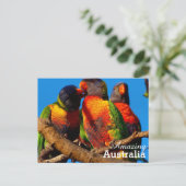 素晴らしいオーストラリアのポストカード ポストカード (スタンド正面)