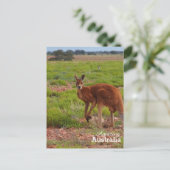 素晴らしいオーストラリアのポストカード ポストカード (スタンド正面)
