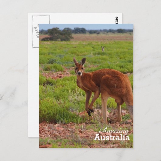 素晴らしいオーストラリアのポストカード ポストカード (正面/裏面)