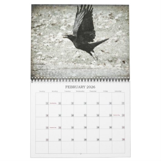 素晴らしいカラスの写真撮影のカレンダー カレンダー (2月 2026)