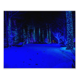 素晴らしいクリスマスタイム8 x 10コダックプロプリント フォトプリント           