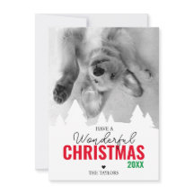 素晴らしいクリスマスレッドの緑の写真