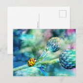 素晴らしいサンバル ポストカード (正面/裏面)