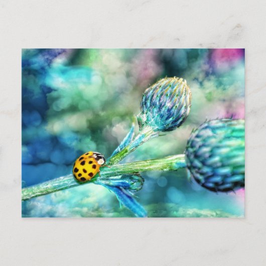 素晴らしいサンバル ポストカード (正面)