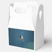 素晴らしいスティングレイ フェイバーボックス (オープン)